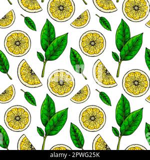 Nahtloses Zitronenmuster. Farbenfrohe handgezeichnete Vektordarstellung im Skizzenstil. Tropische exotische Zitrusfrüchte im Sommer Stock Vektor