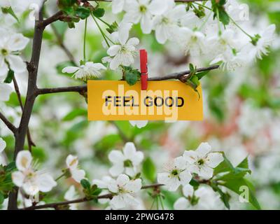 Ein gelber Zettel aus Papier mit dem Satz fühlt sich gut an, der an einem Ast mit Kirschblüten und einer Kleidernadel befestigt ist. Schließen. Stockfoto