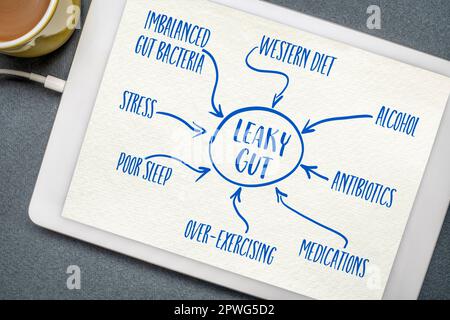 Ursachen des Leaky-Darm-Syndroms - Text und Zeichnung auf einer digitalen Tablette, Verdauungsgesundheitskonzept Stockfoto