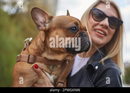 Junge blonde Frau hält einen französischen Bulldoggen-Welpen in den Händen. Fröhliche Besitzerin und ihr geliebtes Haustier draußen Stockfoto