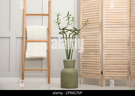 Vase mit grünen Bambusstämmen, Klappschirm und Leiter auf dem Boden im Zimmer. Innendesign Stockfoto