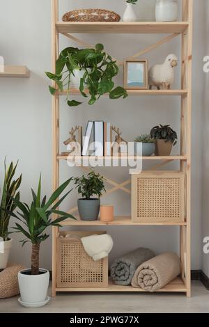 Hölzerne Regale mit Wohndekor und wunderschönen Zimmerpflanzen im Zimmer Stockfoto