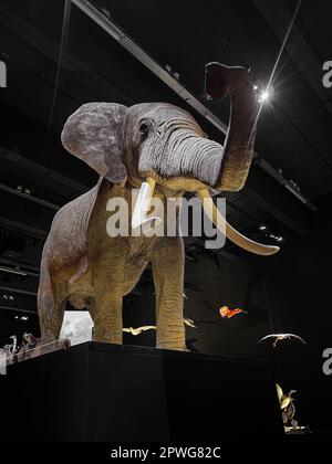 Großer gefüllter Elefant im Museum, Blick aus dem unteren Winkel Stockfoto