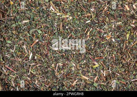 Hintergrund der natürlichen melissa-Minze. Textur der trockenen Melissa officinalis L. Draufsicht. Flaches Layout. Stockfoto
