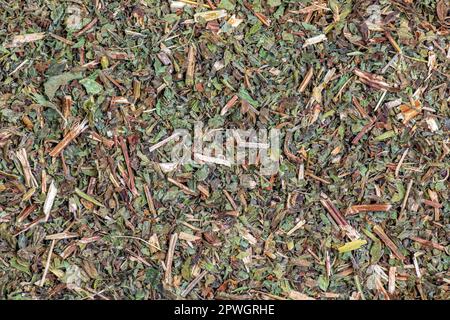Hintergrund der natürlichen melissa-Minze. Textur der trockenen Melissa officinalis L. Draufsicht. Flaches Layout. Stockfoto