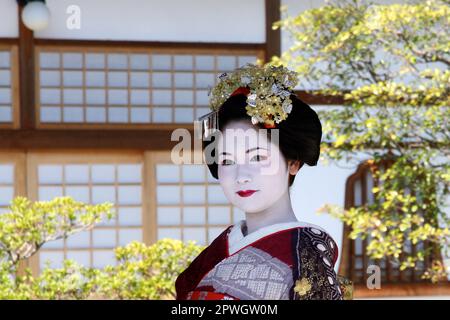 Nahaufnahme eines wunderschönen jungen Maiko, Lehrling Geisha. Sie trägt den traditionellen Kimono auf einer Higashiyama-Straße in Kyoto, Japan. Stockfoto