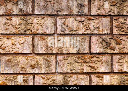 Kanadische Backsteinhäuser bestehen aus wunderschönen Ziegeln mit einem einzigartigen Stil und Farbschema. Stockfoto