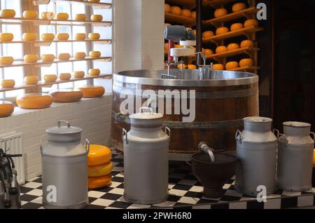 Ausrüstung und Frischkäseköpfe auf einem Regal im Fabriklager Stockfoto