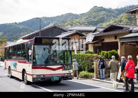 Arashiyama Kyoto, April 2023, öffentliche Verkehrsmittel Bus bringt Touristen nach Arashiyama, um Bambushain und Tenryu-ji Tempel, Japan, Asien zu sehen Stockfoto