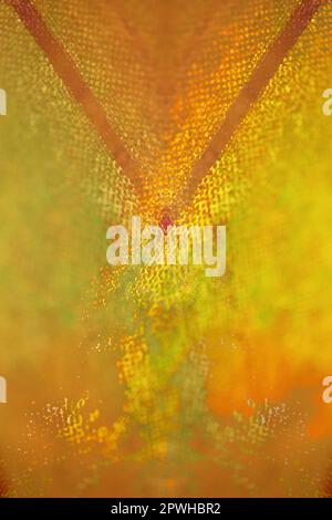 Farbenfrohe Acrylfarbe abstrahiert psychedelische Kreation auf Leinwand Art Angriff moderne, hochwertige, große Sofortbildfotografie Künstler pri Stockfoto