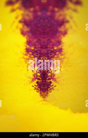 Farbenfrohe Acrylfarbe abstrahiert psychedelische Kreation auf Leinwand Art Angriff moderne, hochwertige, große Sofortbildfotografie Künstler pri Stockfoto