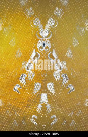 Farbenfrohe Acrylfarbe abstrahiert psychedelische Kreation auf Leinwand Art Angriff moderne, hochwertige, große Sofortbildfotografie Künstler pri Stockfoto