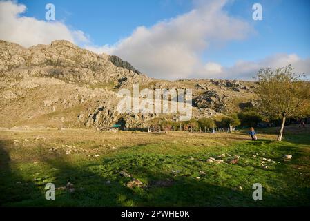 Vormittag in einer bergigen Landschaft, La Rotonda, Ausgangspunkt für Wanderwege in Los Gigantes, ein Bergmassiv, das zum Wandern, Trekking und Klettern besucht wurde Stockfoto