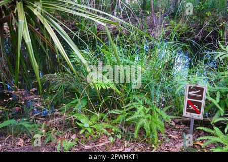 Ein No Swim Schild Krokodil Gefahr, in der Nähe eines Wasserlaufs, im Litchfield National Park, Northern Territory of Australia Stockfoto