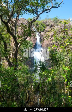 Wangi Falls im Litchfield National Park, Northern Territory of Australia Stockfoto