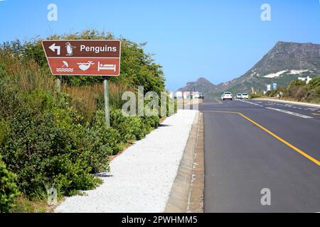 Wegweiser zu Pinguinen und Walbeobachtung, Verkehrszeichen, Richtung Pinguine, Richtung Walbeobachtung, Betty's Bay, Westkap, Südafrika Stockfoto