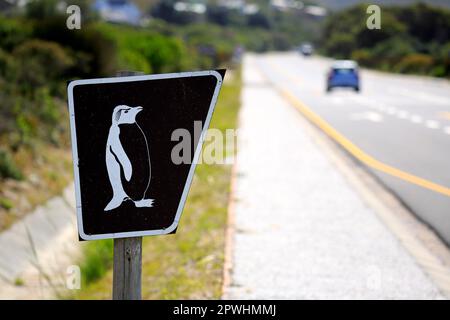 Wegweiser zu Pinguinen, Straßenschild, Richtung Pinguine, Betty's Bay, Westkap, Südafrika Stockfoto