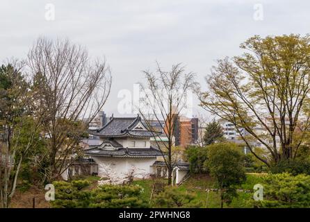 Kyoto, Japan - 25. März 2023: Schöner Garten und Schloss Nijo in Kyoto, Japan Stockfoto