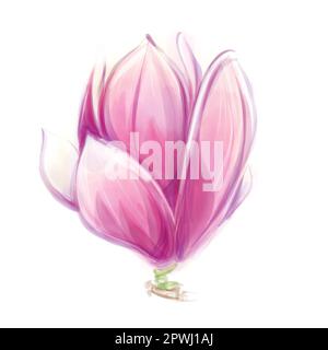 Isolierte Aquarell-Magnolienblüte. Botanische Blume. Grußkarte. Stockfoto