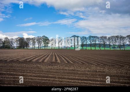 Das Dorf Scone außerhalb von Perth Schottland, wo sich der Stein des Scone, der Stein des Schicksals und der Krönungsstein im Scone Palace befinden. Stockfoto