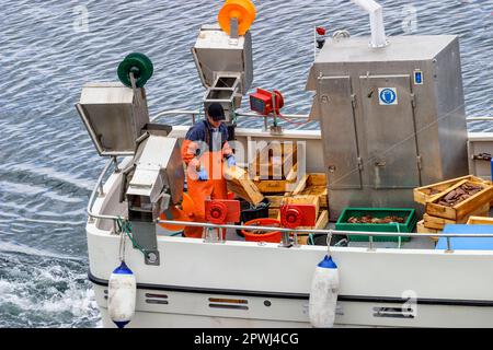 Krabbenfischer auf einem Boot Stockfoto