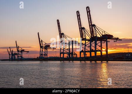 Hafenkrane bei Sonnenuntergang Stockfoto