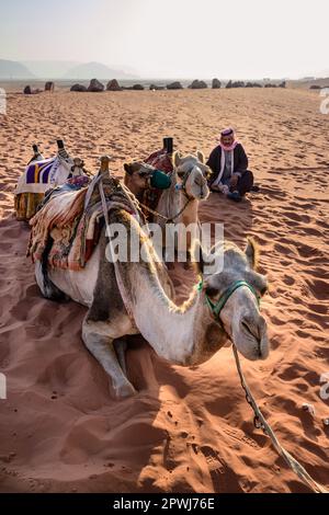 Wadi Rum, Jordanien - 30 2022. Oktober: Kamelreiten und Beduinenführer in der Wüste von Wadi Rum. Stockfoto