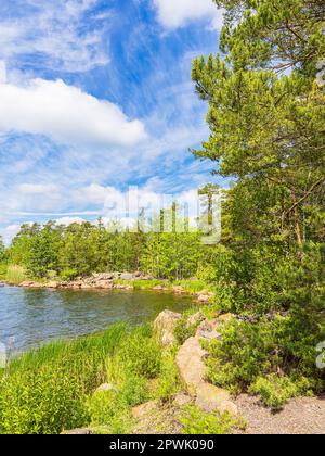 Ostseeküste mit Felsen und Bäumen in der Nähe von Figeholm in Schweden. Stockfoto