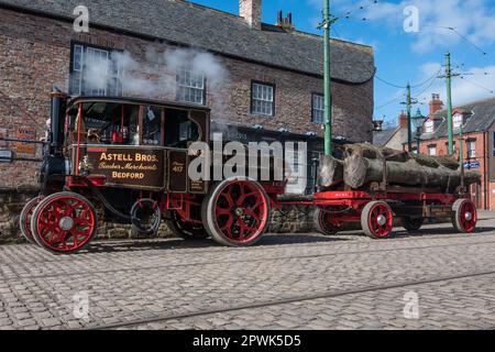 Ein klassischer Dampftraktor, der einen Anhänger aus Baumstämmen zieht. Abgebildet im Beamish Living Museum, Nordostengland. Stockfoto