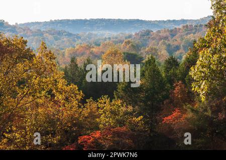 Mammoth Cave National Park Kentucky Stockfoto