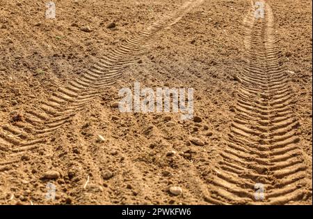 Traktor reifen Drucken im trockenen Bereich, beleuchtet von Sun. Stockfoto