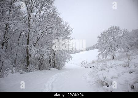 Schneebedeckte Straße im Winterfrost Stockfoto