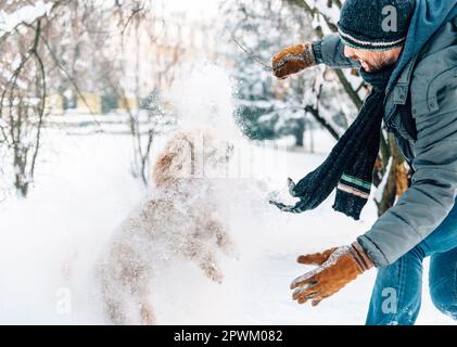Schneeballschlacht Spaß mit Pet und seinen Besitzer in den Schnee. Winterurlaub Emotion. Nette Pfütze Hund und Mann spielt und läuft in den Wald. Film Filter Stockfoto