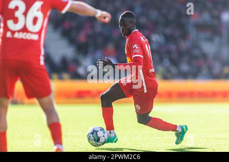 Farum, Dänemark. 30. April 2023. Mohamed Diomande (10) vom FC Nordsjaelland, gesehen während des Superliga-Spiels 3F zwischen dem FC Nordsjaelland und Aarhus GF rechts vom Dream Park in Farum. (Foto: Gonzales Photo/Alamy Live News Stockfoto