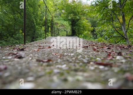 Banja Koviljacha, Serbien, Loznica, Mount Guchevo. Eine alte schmale Betonbrücke über einen Bergfluss mit einem Metallzaun. Strauchdicken, Efeu, V Stockfoto