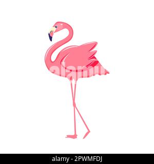 Vektordarstellung des rosa Flamingo isoliert auf weißem Hintergrund. EPS10 Stock Vektor