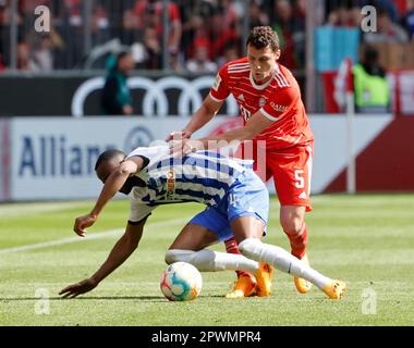 München, Deutschland. 30. April 2023. Benjamin Pavard (R) aus Bayern München wehrt sich mit Dodi Lukebakio von Hertha BSC während des deutschen Bundesliga-Fußballspiels in der ersten Abteilung am 30. April 2023 in München. Kredit: Philippe Ruiz/Xinhua/Alamy Live News Stockfoto