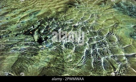 Kleiner, klarer, kalter Bach mit Kieselsteinen im Arkhyz Gebirgskamm - Foto der Natur Stockfoto