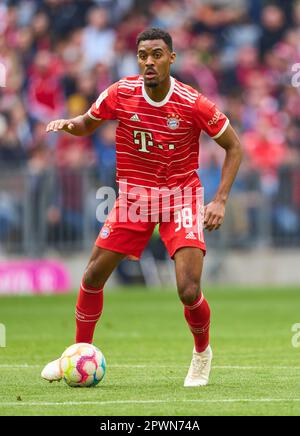 München, Deutschland. 30. April 2023. Ryan Gravenberch, FCB 38 im Spiel FC BAYERN MÜNCHEN - HERTHA BSC BERLIN 2-0 1. Deutsche Fußballliga am 30. April 2023 in München. Saison 2022/2023, Spieltag 30, 1. Bundesliga, FCB, München, 30.Spieltag. Kredit: Peter Schatz/Alamy Live News Stockfoto