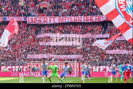 München, Deutschland. 30. April 2023. Im Spiel FC BAYERN MÜNCHEN – HERTHA BSC BERLIN 2-0 1. Deutsche Fußballliga am 30. April 2023 in München. Saison 2022/2023, Spieltag 30, 1. Bundesliga, FCB, München, 30.Spieltag. Kredit: Peter Schatz/Alamy Live News Stockfoto