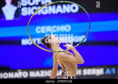 Turin, Italien, Italien. 30. April 2023. Italien, Turin 30/04/23 .Pala Gianni Asti von Turin .Finale sechs der Nationalen Rhythmischen Turnmeisterschaft Serie A 2023.Sicignano Sofia.motto viareggio.Circle (Kreditbild: © Tonello Abozzi/Pacific Press via ZUMA Press Wire) NUR REDAKTIONELLE VERWENDUNG! Nicht für den kommerziellen GEBRAUCH! Stockfoto