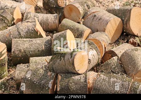 Stapel geschnittener Stämme, geeignet für Holzofen Stockfoto