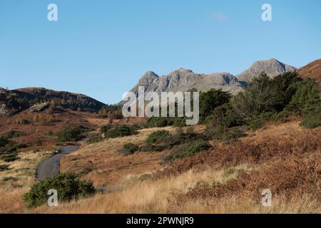 Die steile Straße führt von Little Langdale, English Lake District, hinauf nach Blea Tarn. Stockfoto