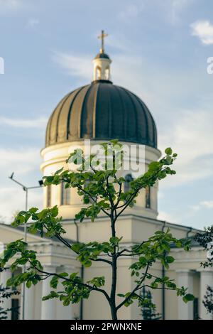 Antik, Architektur, Hintergrund, wunderschön, blau, Gebäude, Kathedrale, Kapelle, christus, christian, christentum, Kirche, Stadt, Kultur, Kuppel, Berühmt, Stockfoto