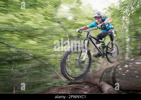 Ein Mountainbiker, der im Wald über einen umgestürzten Baumstamm springt Stockfoto