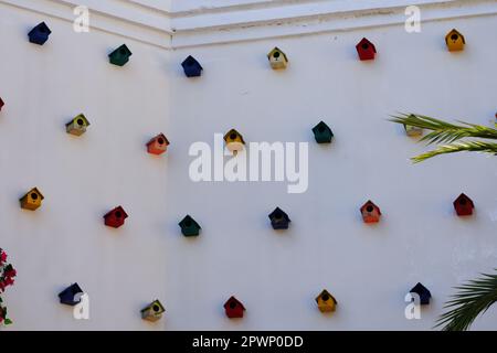 Farbenfrohe Vogelhäuser hängen an einer weißen Wand an einem sonnigen Sommertag im Freien, um die Palme an einem sonnigen Sommertag zu sehen Stockfoto
