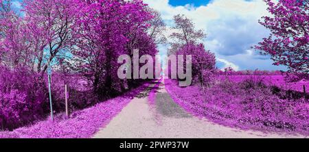 Farbenfrohe Fantasy-Landschaft in einem asiatischen violetten Infrarot-Fotostil Stockfoto