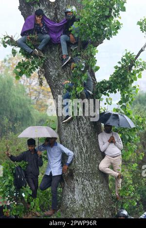 Kathmandu, NE, Nepal. 1. Mai 2023. Nepalesische Cricketfans verwenden Regenschirme, um sich während des Finales des ACC Männer Primer Cup am 1. Mai 2023 in Kathmandu, Nepal, vor Regen zu schützen. Das Spiel konnte aufgrund des Regens nicht an einem Tag beendet werden. (Kreditbild: © Aryan Dhimal/ZUMA Press Wire) NUR REDAKTIONELLE VERWENDUNG! Nicht für den kommerziellen GEBRAUCH! Kredit: ZUMA Press, Inc./Alamy Live News Stockfoto