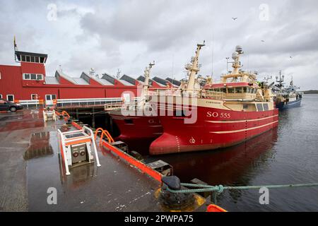 Fischerboote im killybegs Fischereihafen Zentrum Grafschaft donegal republik irland Stockfoto