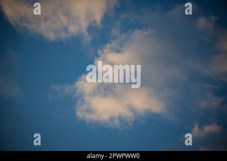 Cumulus Wolken am Abendhimmel Stockfoto